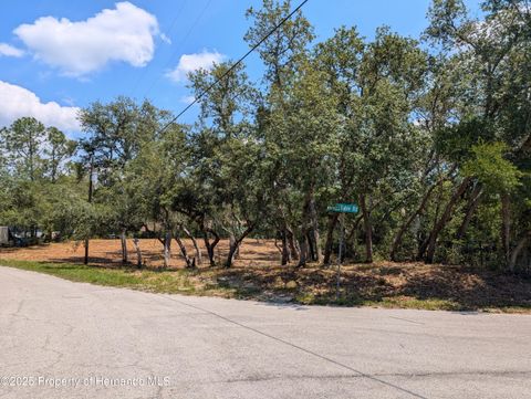 Unimproved Land in Ridge Manor FL 0 Merlin Circle.jpg
