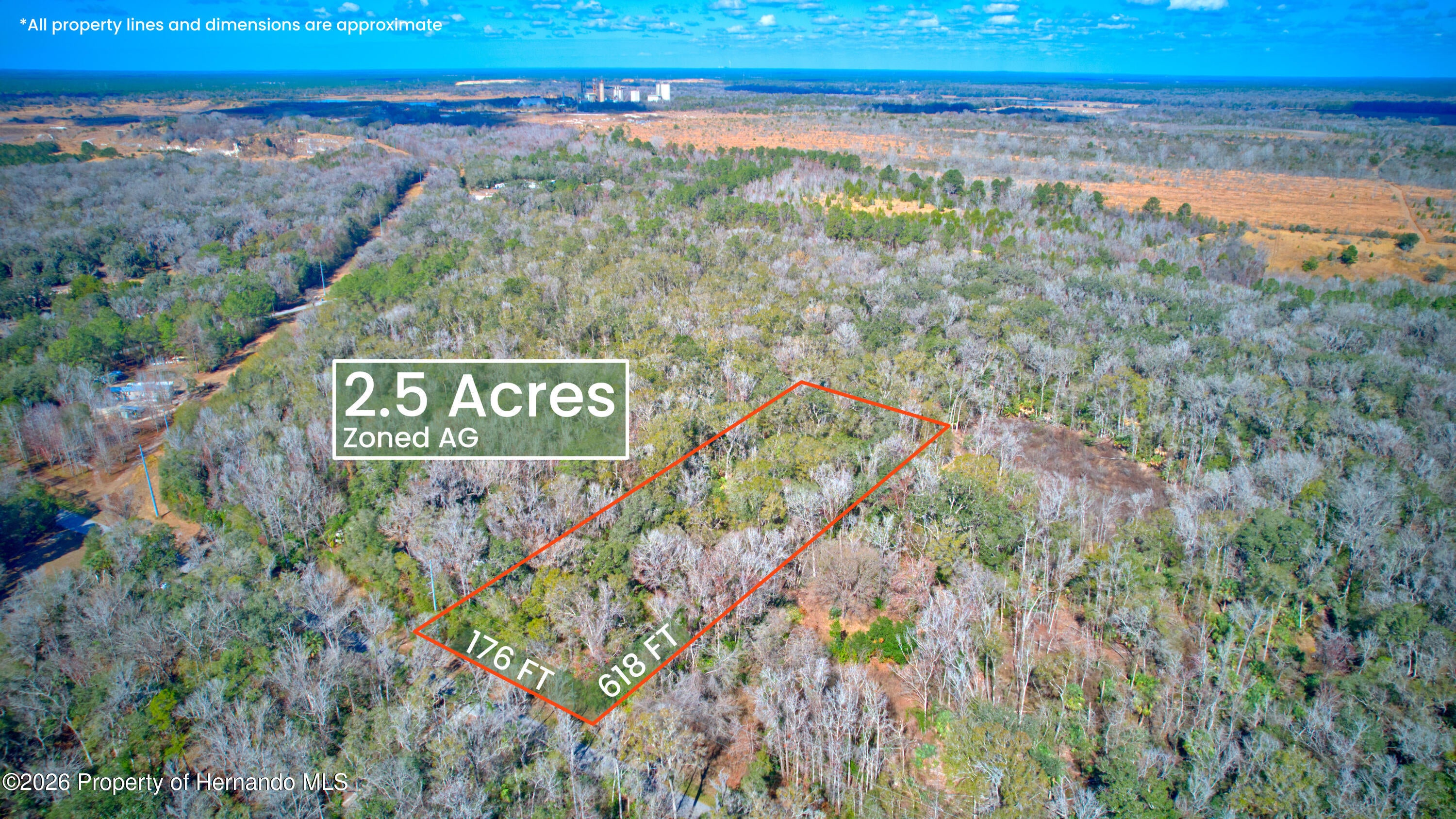 16345 Budowski Rd, Brooksville, FL 34614 photo