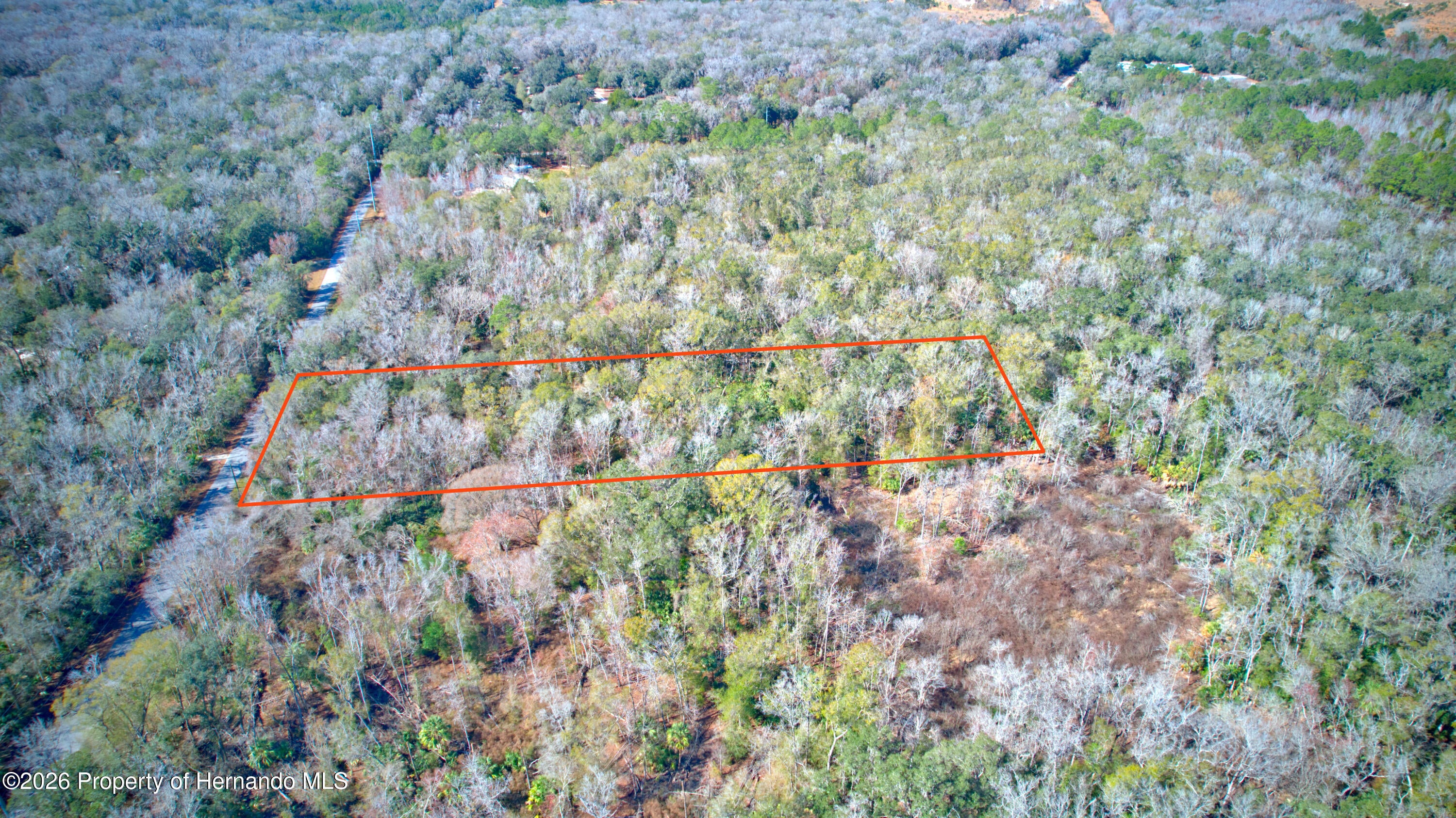 16345 Budowski Rd, Brooksville, FL 34614 photo