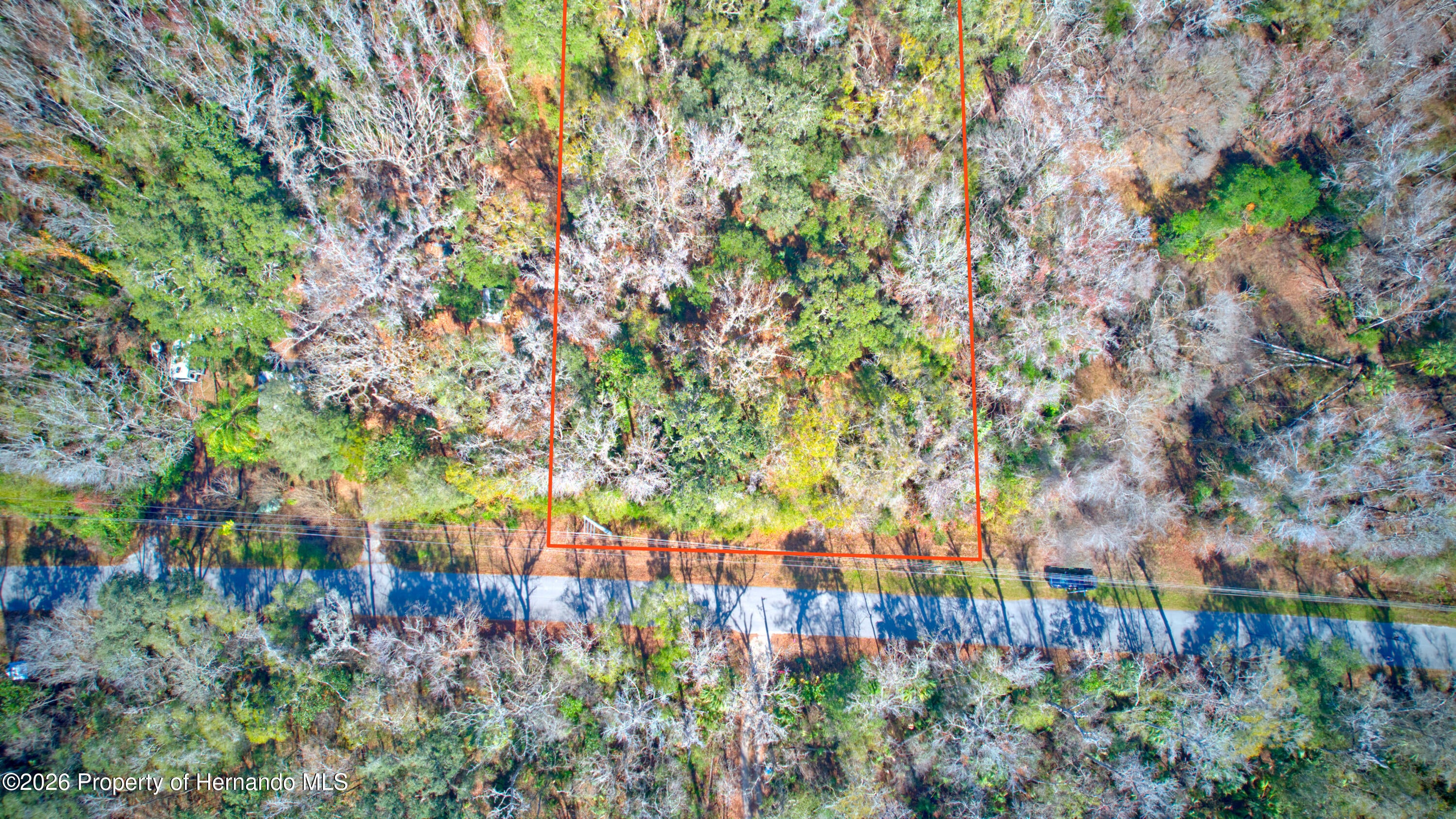 16345 Budowski Rd, Brooksville, FL 34614 photo