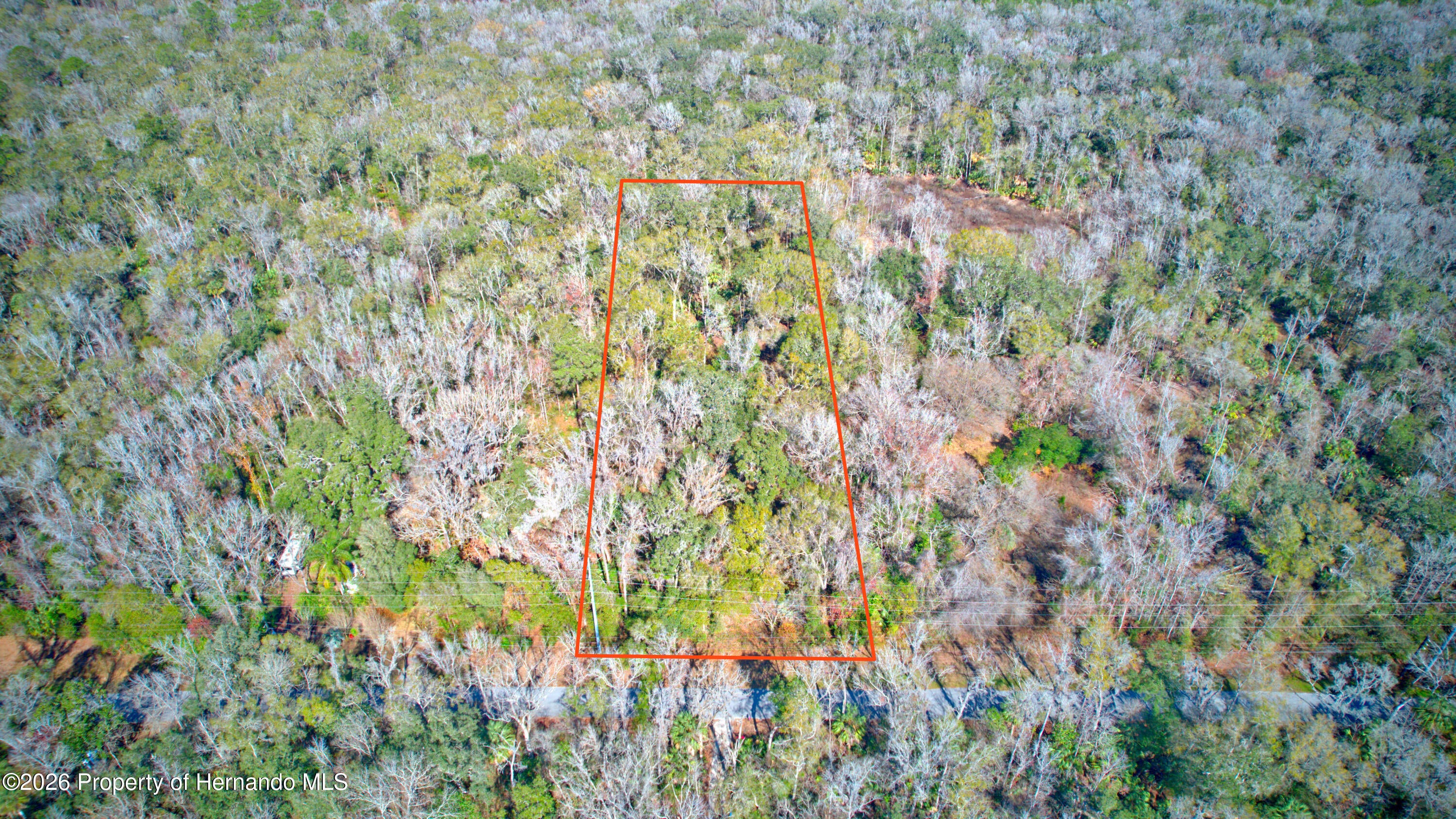 16345 Budowski Rd, Brooksville, FL 34614 photo