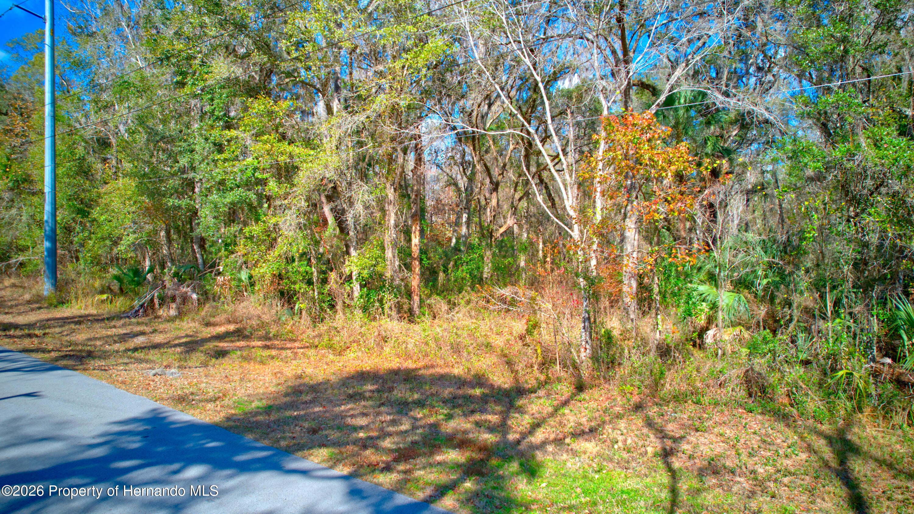 16345 Budowski Rd, Brooksville, FL 34614 photo