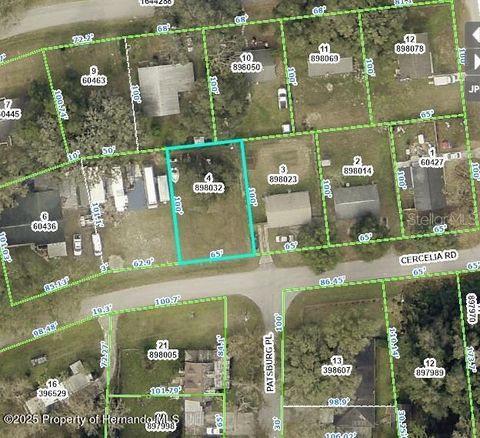 Unimproved Land in Dade City FL 33157 Cercelia Road.jpg