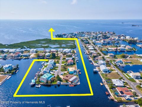 Unimproved Land in Hernando Beach FL 4230 ORCHID Drive.jpg
