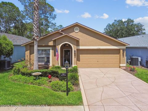 Single Family Residence in Hudson FL 11752 WHEATFIELD Loop.jpg