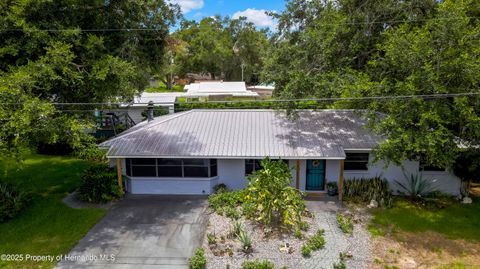 Single Family Residence in Dade City FL 3415 Riverdale Dr Drive.jpg