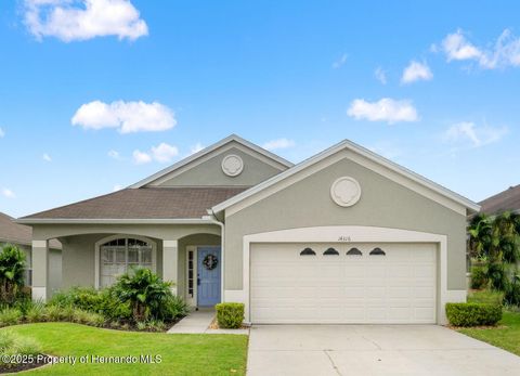 Single Family Residence in Brooksville FL 14316 Holly Hammock Lane.jpg