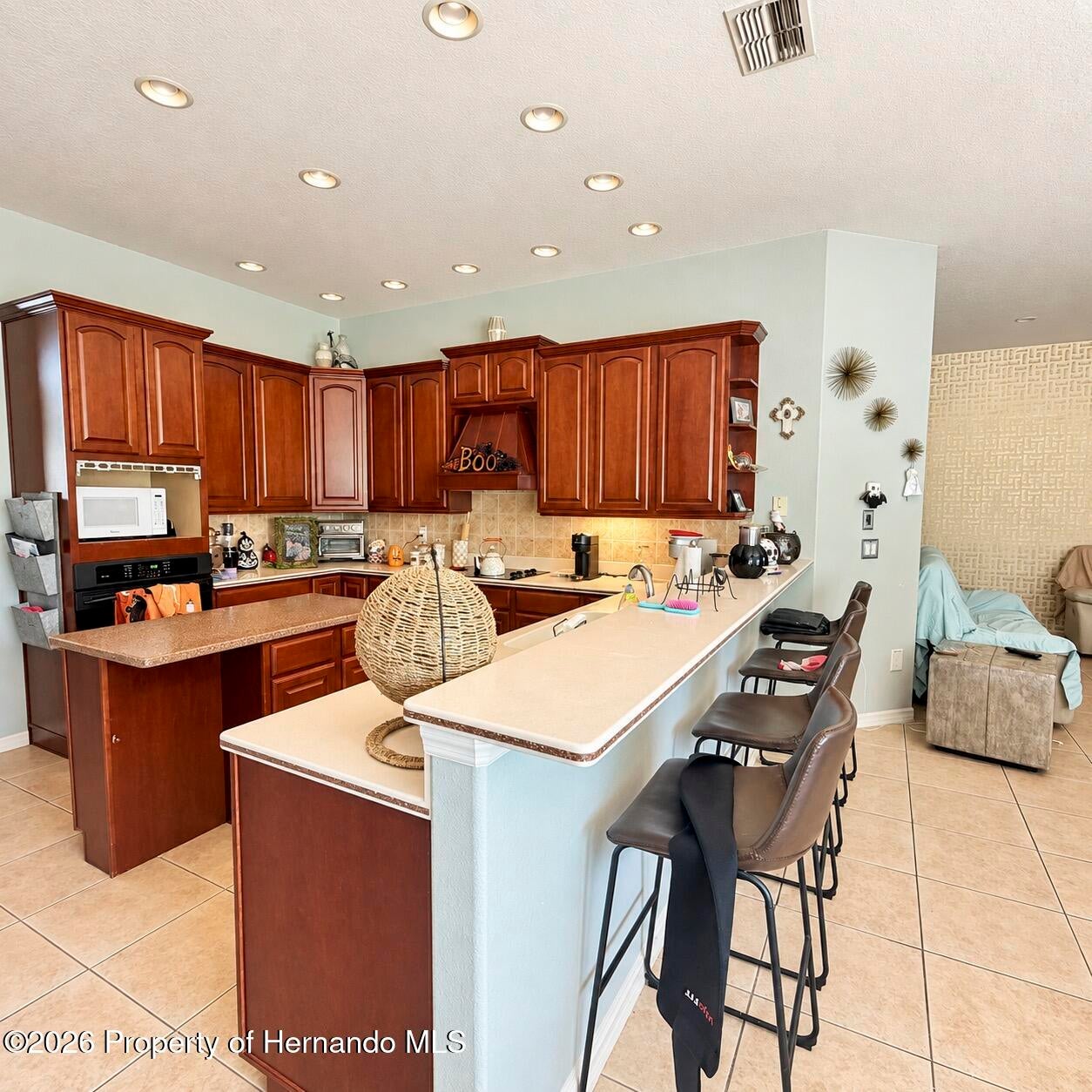 15127 Surrey Bnd, Spring Hill, FL 34609 photo