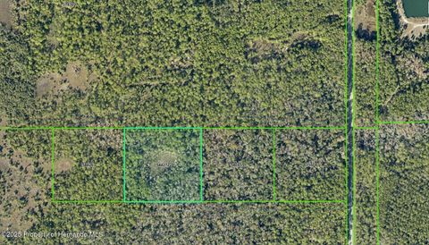 Unimproved Land in Hernando Beach FL 0 Shoal Line Boulevard.jpg