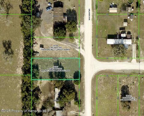 Unimproved Land in Brooksville FL Lot 5 Orlando Avenue.jpg