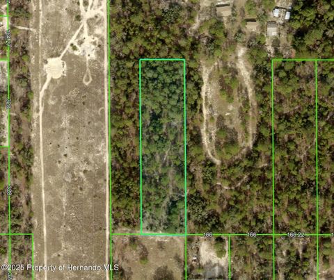 Unimproved Land in Brooksville FL 0 Desert Rose.jpg