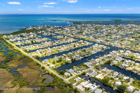 Unimproved Land in Hernando Beach FL 4098 Diaz Court.jpg