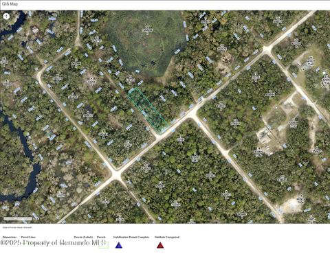 Unimproved Land in Ridge Manor FL 00 Karagan Court.jpg