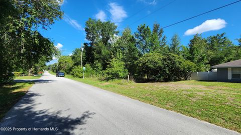 Unimproved Land in Inverness FL 4104 E Scotty Street 9.jpg