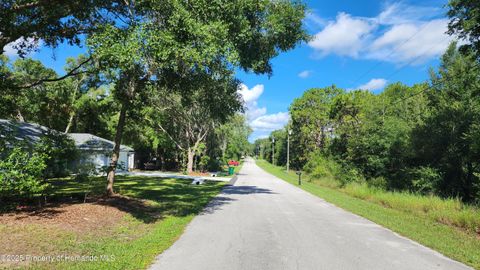 Unimproved Land in Inverness FL 4104 E Scotty Street 2.jpg