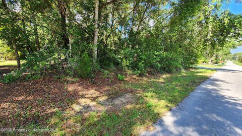 Unimproved Land in Inverness FL 4104 E Scotty Street 1.jpg