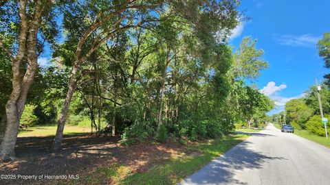 Unimproved Land in Inverness FL 4104 E Scotty Street 7.jpg