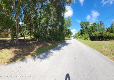 Unimproved Land in Inverness FL 4104 E Scotty Street 8.jpg