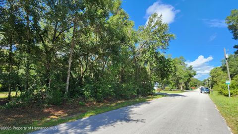 Unimproved Land in Inverness FL 4104 E Scotty Street 4.jpg