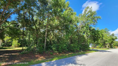 Unimproved Land in Inverness FL 4104 E Scotty Street 3.jpg