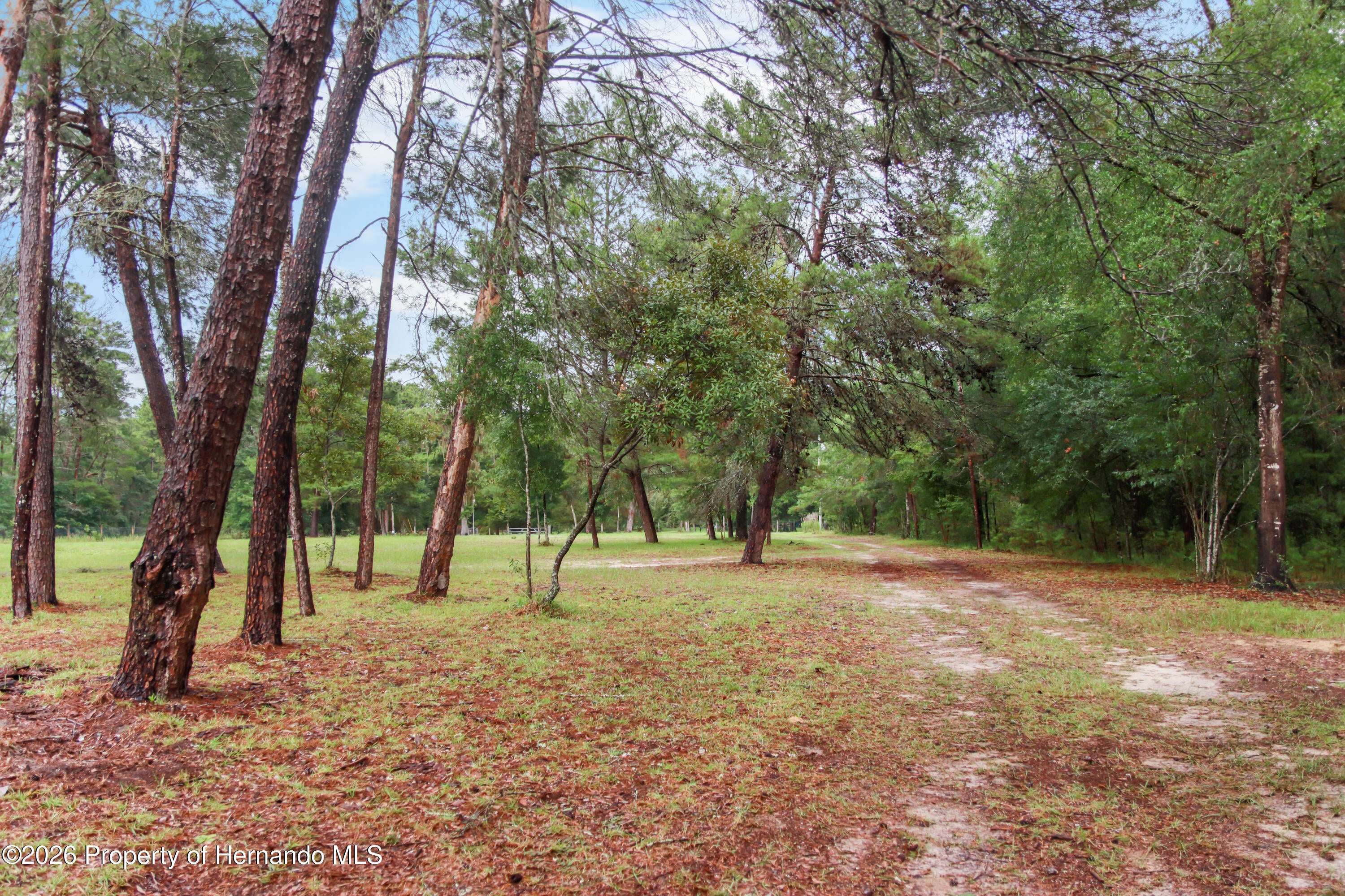 16295 Hibiscus Rd, Brooksville, FL 34601 photo