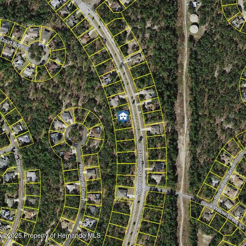 Unimproved Land in Homosassa FL 107 CYPRESS Boulevard.jpg