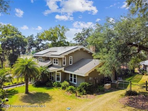 Single Family Residence in Zephyrhills FL 39127 Pretty Pond Road.jpg