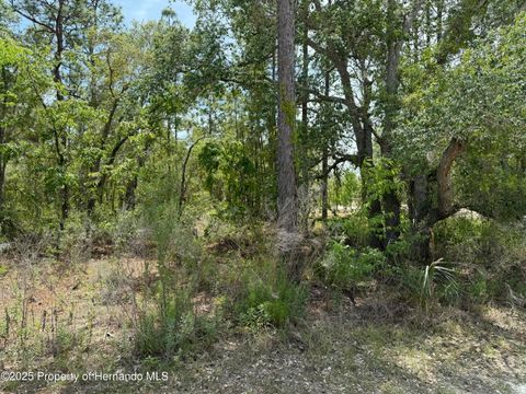 Unimproved Land in Brooksville FL 0 Snow Goose Avenue.jpg
