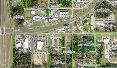 Unimproved Land in Brooksville FL 0 Wiscon.jpg