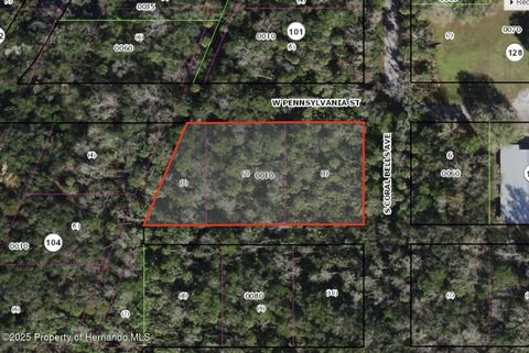 Unimproved Land in Homosassa FL 10388 W Pennsylvania Street.jpg