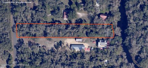 Unimproved Land in Ridge Manor FL 0 Cyril Drive.jpg