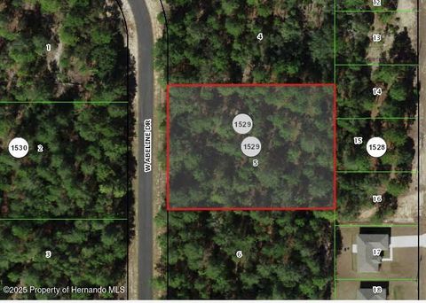 Unimproved Land in Citrus Springs FL 4057 W ABELINE Drive.jpg