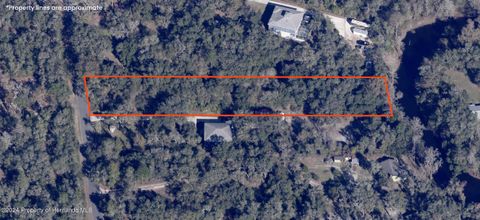 Unimproved Land in Ridge Manor FL 5306 Cyril Drive.jpg