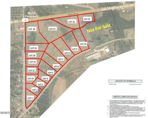  in Elko GA Lot 19 Hodge Road.jpg