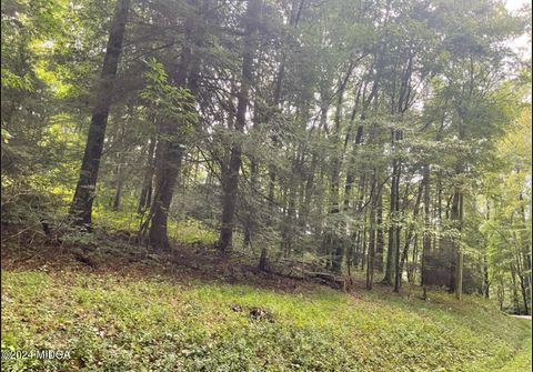 Unimproved Land in Ivey GA 140 Chickasaw Drive.jpg