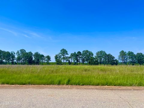  in Hawkinsville GA Lot 41 Crabapple Dr.jpg