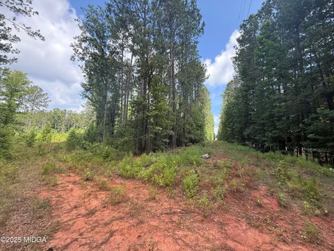 Unimproved Land in Forsyth GA TBD Highway 87.jpg