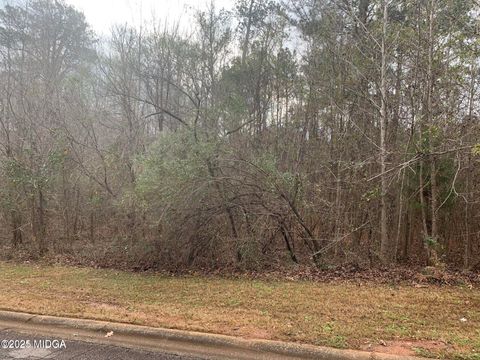 Unimproved Land in Macon GA 119 Stoney Creek.jpg