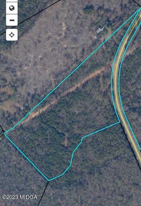 Unimproved Land in Toomsboro GA 00 Wriley Road.jpg