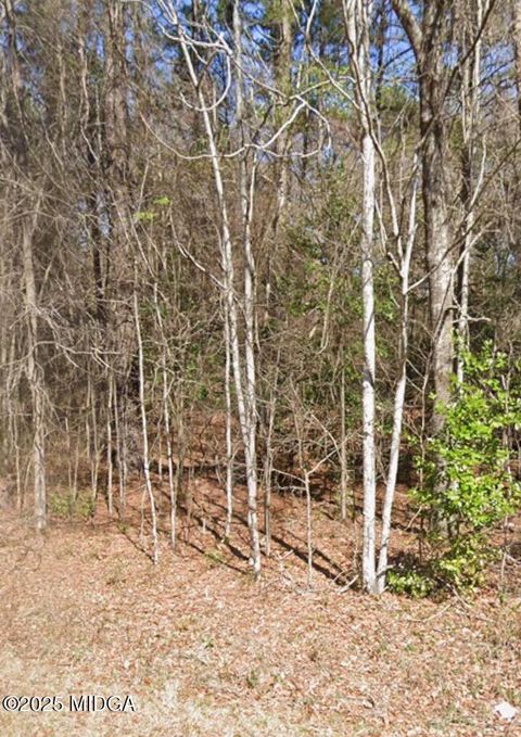 Unimproved Land in Macon GA 4240 Training School Road.jpg