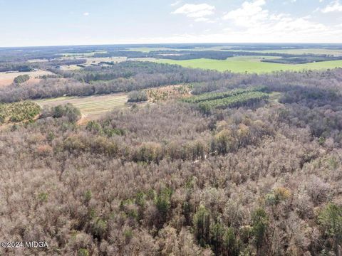Unimproved Land in Elko GA 0 Scott Road.jpg