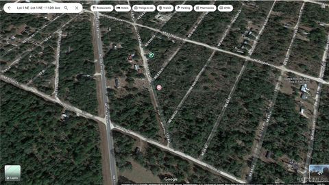 Unimproved Land in Williston FL 691 NE 112th Avenue.jpg