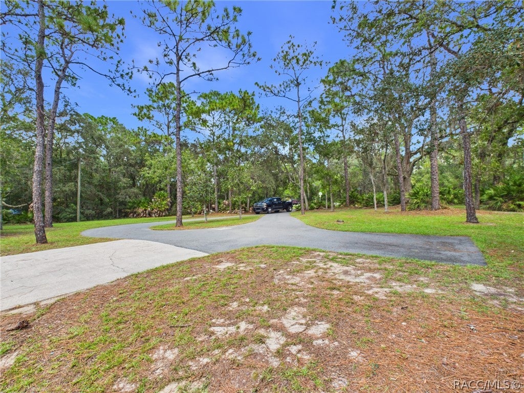 814 N Dunkenfield Ave, Crystal River, FL 34429 photo