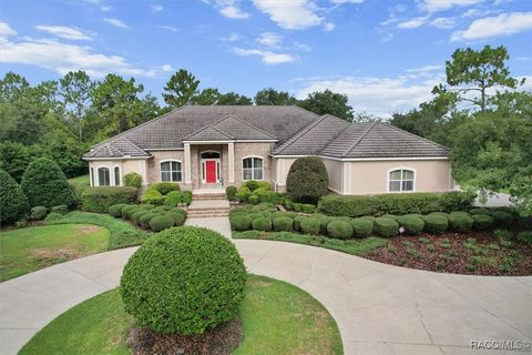 Single Family Residence in Lecanto FL 3915 N Grayhawk Loop.jpg