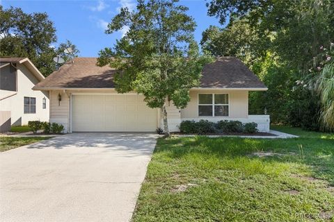 Single Family Residence in Homosassa FL 2 Woodmill Court.jpg