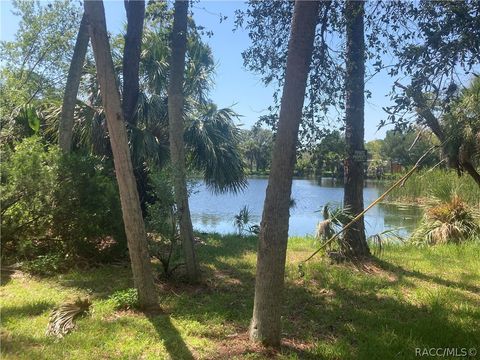 Unimproved Land in Waldo FL 0 SW 137th Street.jpg