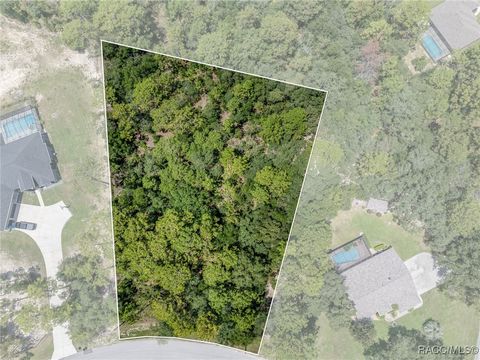 Unimproved Land in Beverly Hills FL 5184 N Princewood Drive.jpg