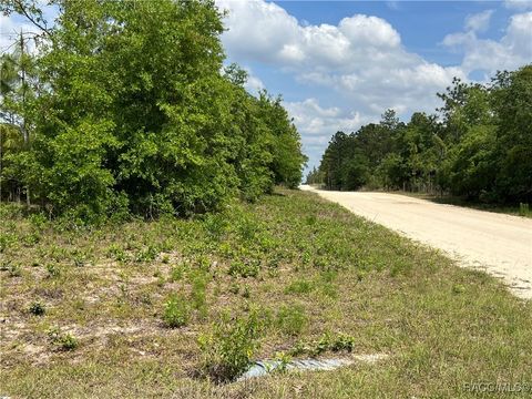 Unimproved Land in Williston FL 0000 NE 131 Terrace.jpg