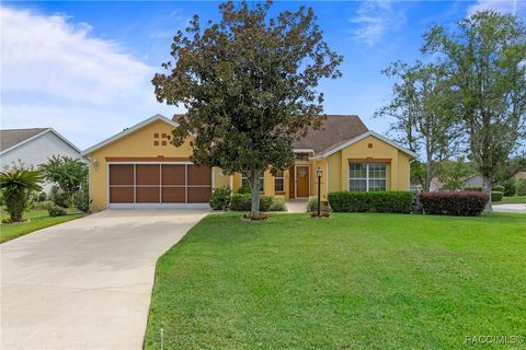 Single Family Residence in Beverly Hills FL 4190 N Stewart Way.jpg