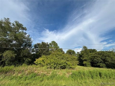 Unimproved Land in Inverness FL 802 Independence Highway.jpg